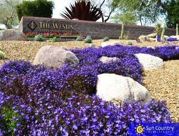 Westin Kierland