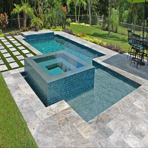 Photos by Tropic Island Pools (gc) #1