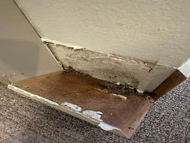 Water Mitigation This project was a roof leak the photos show initial inspection to post demo.