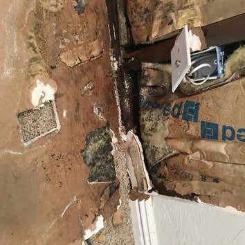 Rain Fire Restoration