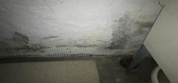 All Suburban Mold Service Inc