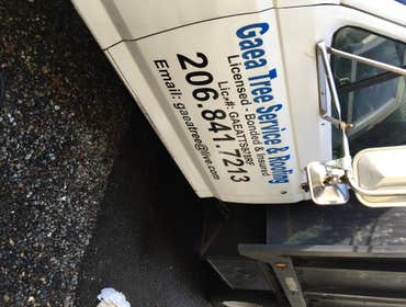 Photos from Gaea Tree Service & Roofing Some jobs we did, removals , view clearance and trees ove houses