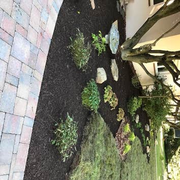 Photos by Patricia Multiservice and Landscaping #1