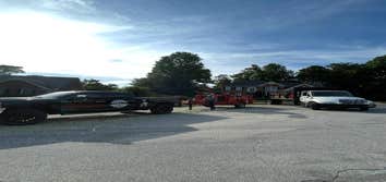 Photos by Everlast Tree Services & Stump Grinding LLC #2