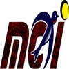 Milano Construction Inc logo
