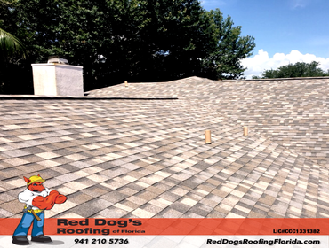 Photos by Red dog's Roofing of Florida #1