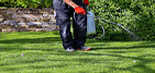 Photos by Protek Pest and Lawn Services #1