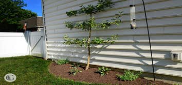 Photos from Greenroots Landscaping