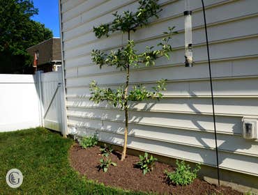 Photos from Greenroots Landscaping