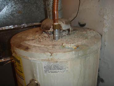 Photo(s) from Phil Parkinson Plumbing