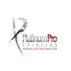 Platinum Pro Painters Inc logo