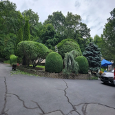 P&g Landscaping LLC