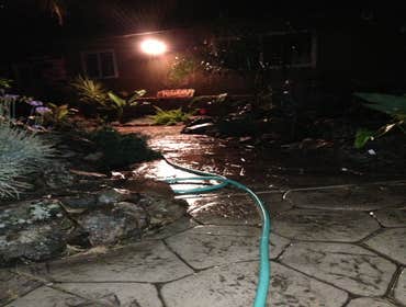 stamped concrete tropical gard