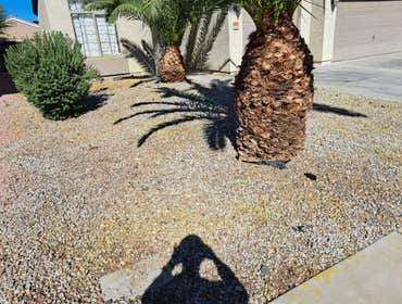 Photos by Wilfer Natural Landscape LLC #38