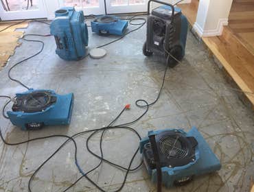 Leak Star Water Damage Dryout