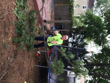 Tree Service South Jersey