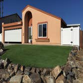 Synthetic grass & windows