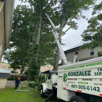Photos by Gonzalez Tree Service Inc #1