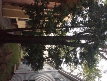 Tree Service South Jersey