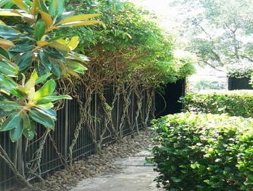 Projects by Landscape Update Company Houston Residential Design | Updating Installation
