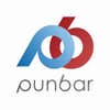 Punbar Air logo