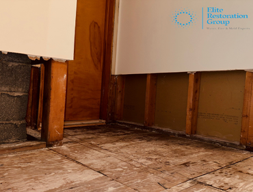 Photos by Elite Restoration Group #1 water damage restoration