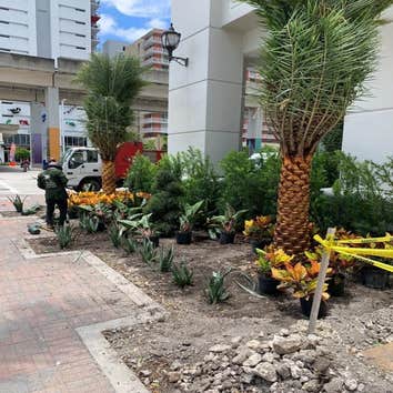 Photos by Melkris Landscaping Svces Corp #1