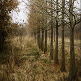 Price Right Professional Landscaping & Tree Service