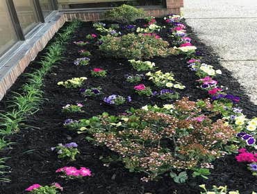 Gardening