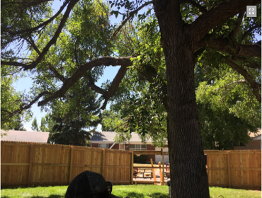 Fences