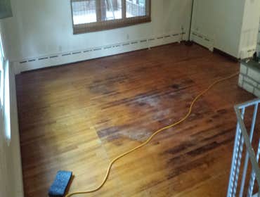 PREMIER HARDWOOD RESTORATIONS vs. PET STAINS Red oak hardwood damaged by pets stains. Job to be sand and finished with a dark walnut stain to hide/camo