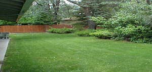 grass trim