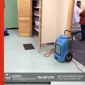 Hippo Carpet Cleaning Coconut Creek