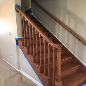 Seps after staining