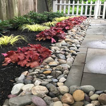 Photos by Ed Francos Simply Green, LLC #1