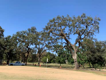 Tree trimming