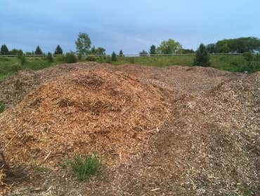 Photos by Willy's Landscaping #1