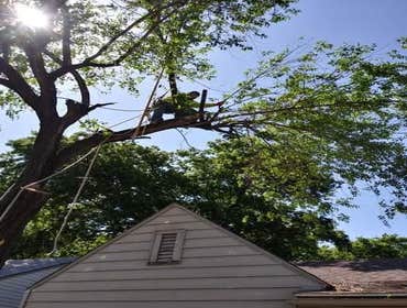 Photos by K&r Tree Service LLC #1