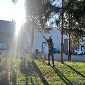 Advanced Contracting Tree Service