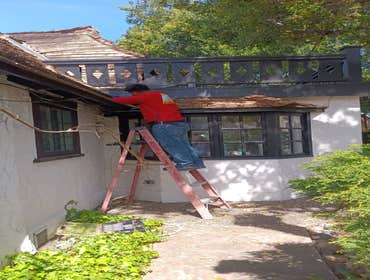 Photos by German Rodent Control #8