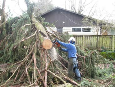 Photos from Greer Brothers
