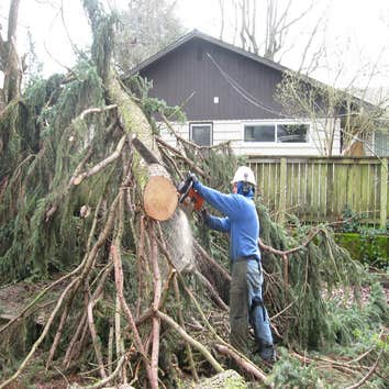 Photos from Greer Brothers