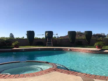 Photos by Tzuban Tree Services #1