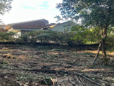 Photos by Kings Tree Service & Landscaping Co #14