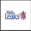 Slab Leaks Plus logo