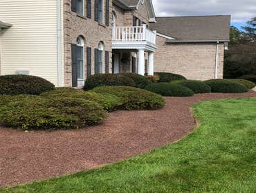 Photos by Ed Francos Simply Green, LLC #1