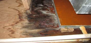 Photos by Mold Remediation Chandler Answers #1