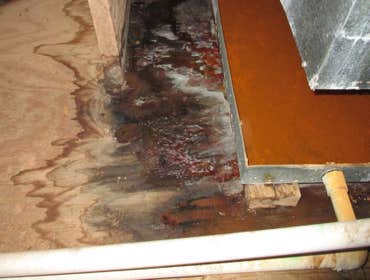 Photos by Mold Remediation Chandler Answers #1