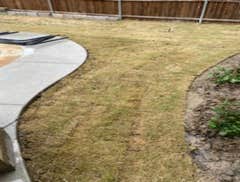Photos by Jeremias Lawn Care Expert #1