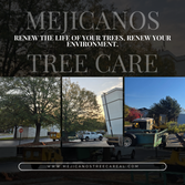 Photos by Mejicanos Tree Care #3